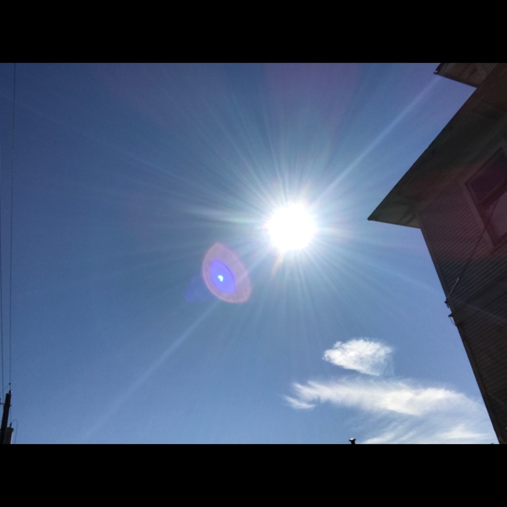 Meet your Posher, Heidi